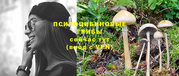 2c-b Бронницы