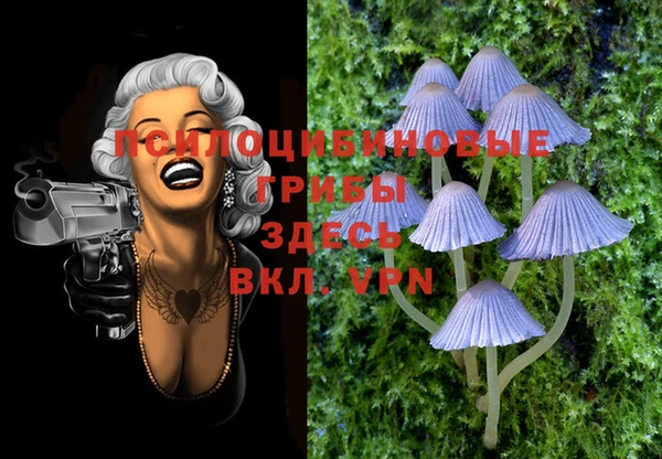 2c-b Бугульма